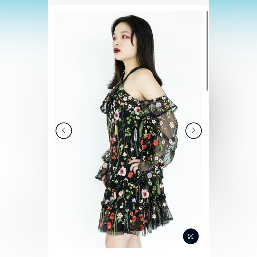 NWOT Alexis X-Small Adeline Embroidered Open Shoulders Mini Floral Dress. 💕🌸